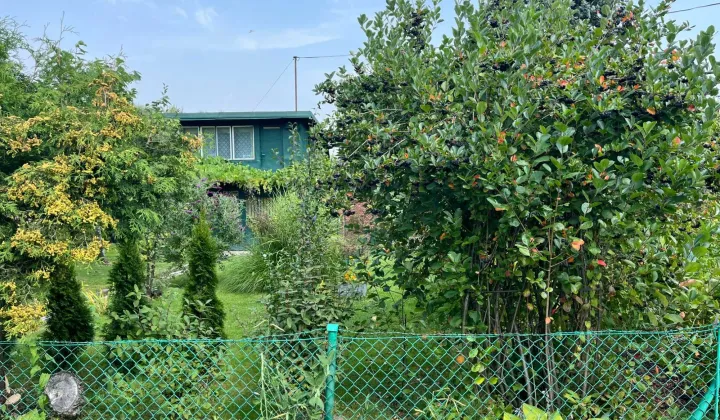 Działka rod Bielsko-Biała