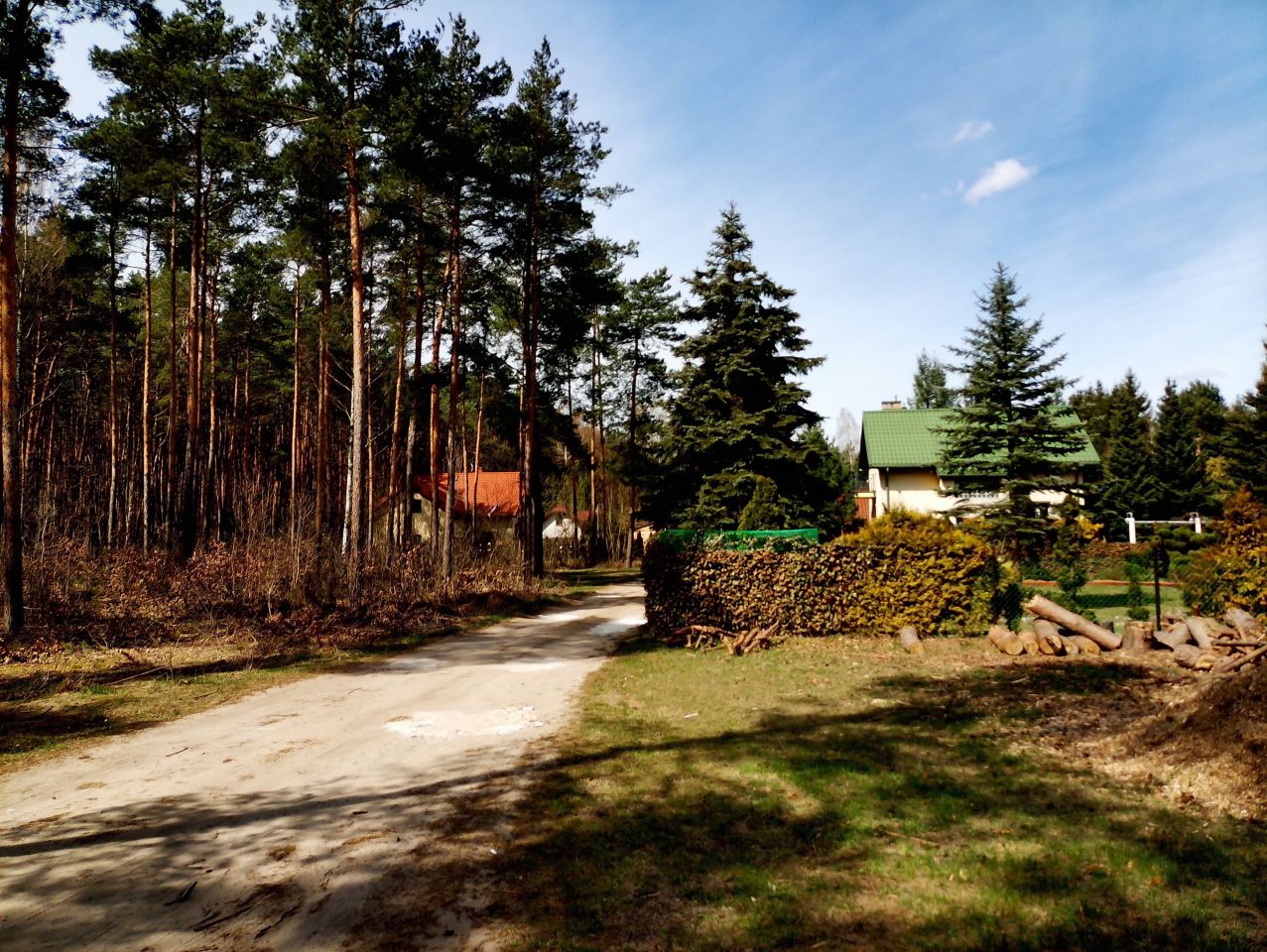 Działka leśna Marynino. Zdjęcie 24