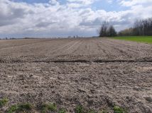 Działka rolno-budowlana Niwki. Zdjęcie 2