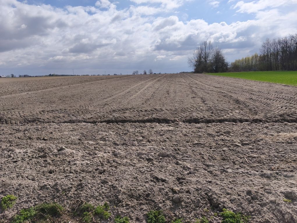 Działka rolno-budowlana Niwki. Zdjęcie 3