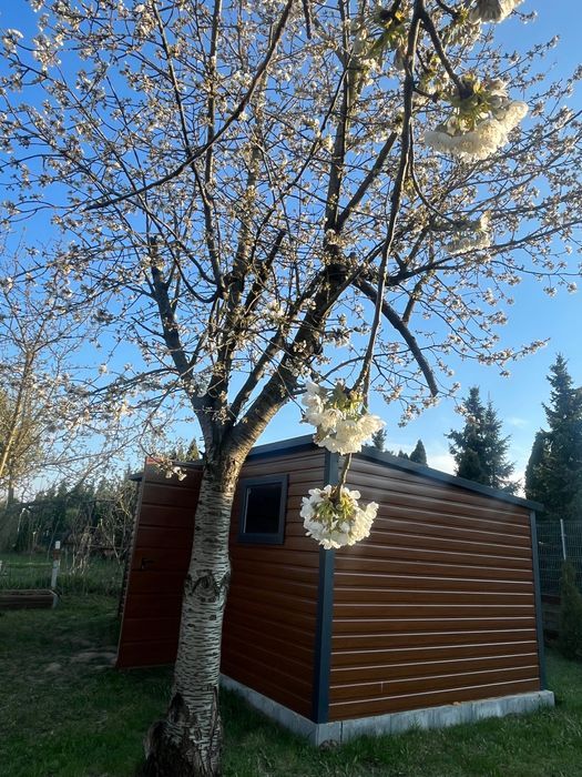 Działka rod Kowal. Zdjęcie 6