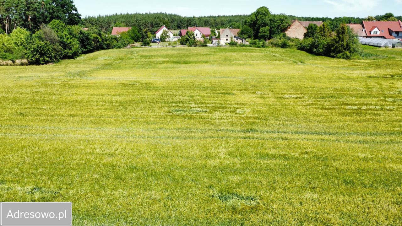 Działka rolno-budowlana Baranowice. Zdjęcie 8