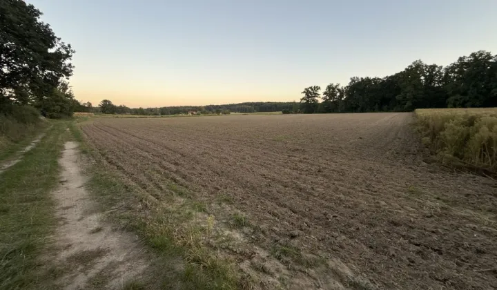 Działka budowlana Wilkowa