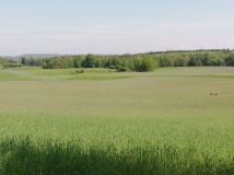 Działka siedliskowa Głodowo. Zdjęcie 3