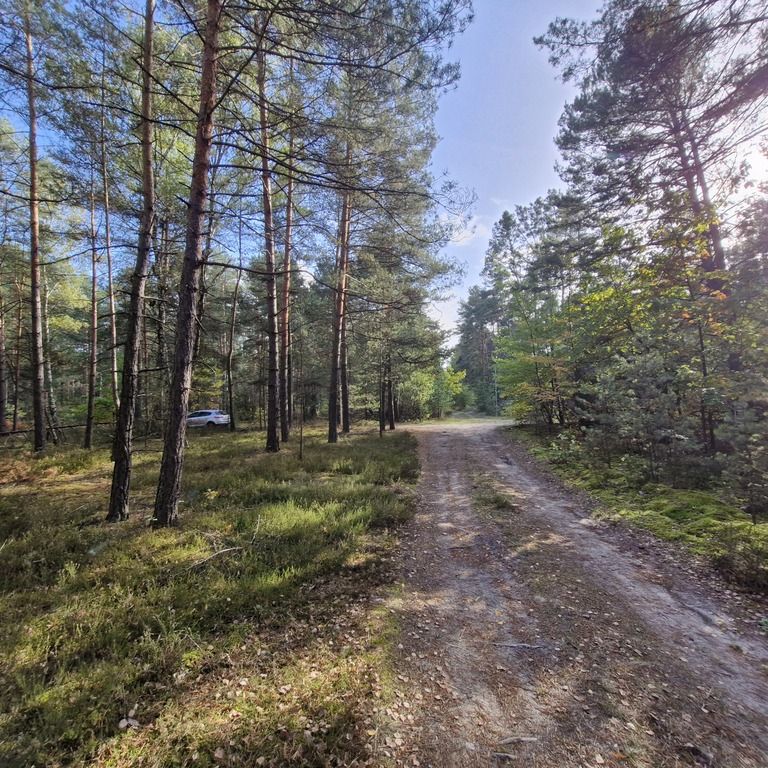 Działka leśna Osiedle Wilga. Zdjęcie 1