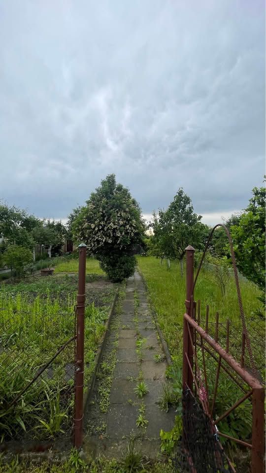 Działka rod Głogów, ul. Kwiatowa. Zdjęcie 9