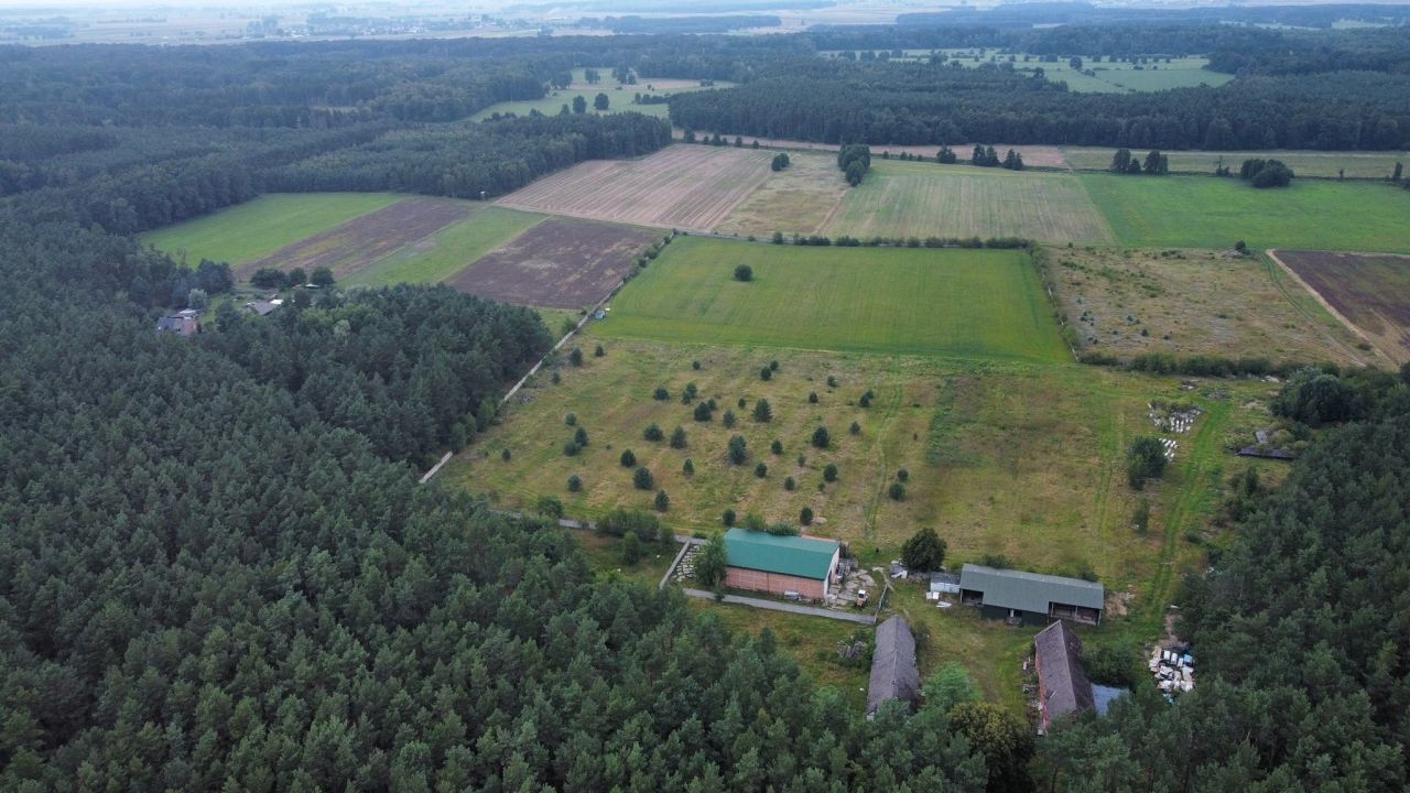 Działka rolno-budowlana Podlesie. Zdjęcie 4
