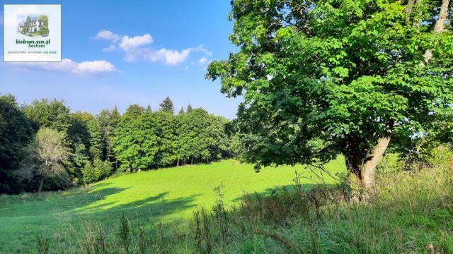 Działka budowlana Duszniki-Zdrój Zieleniec, ul. Zieleniec. Zdjęcie 7