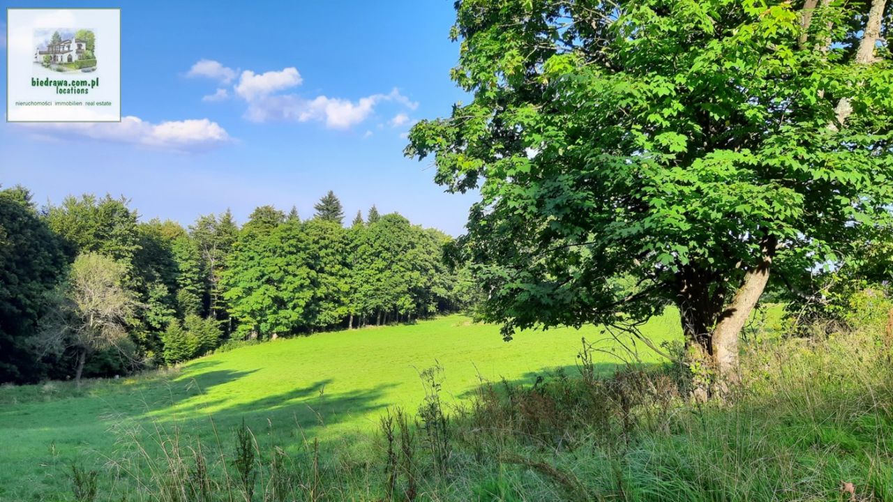 Działka budowlana Duszniki-Zdrój Zieleniec, ul. Zieleniec. Zdjęcie 7