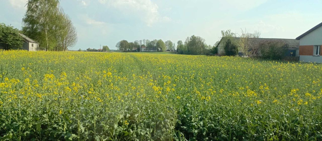 Działka budowlana Zofiówka