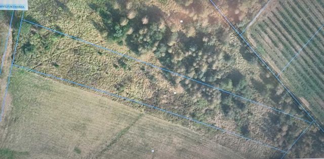 Działka rolna Przechód. Zdjęcie 1