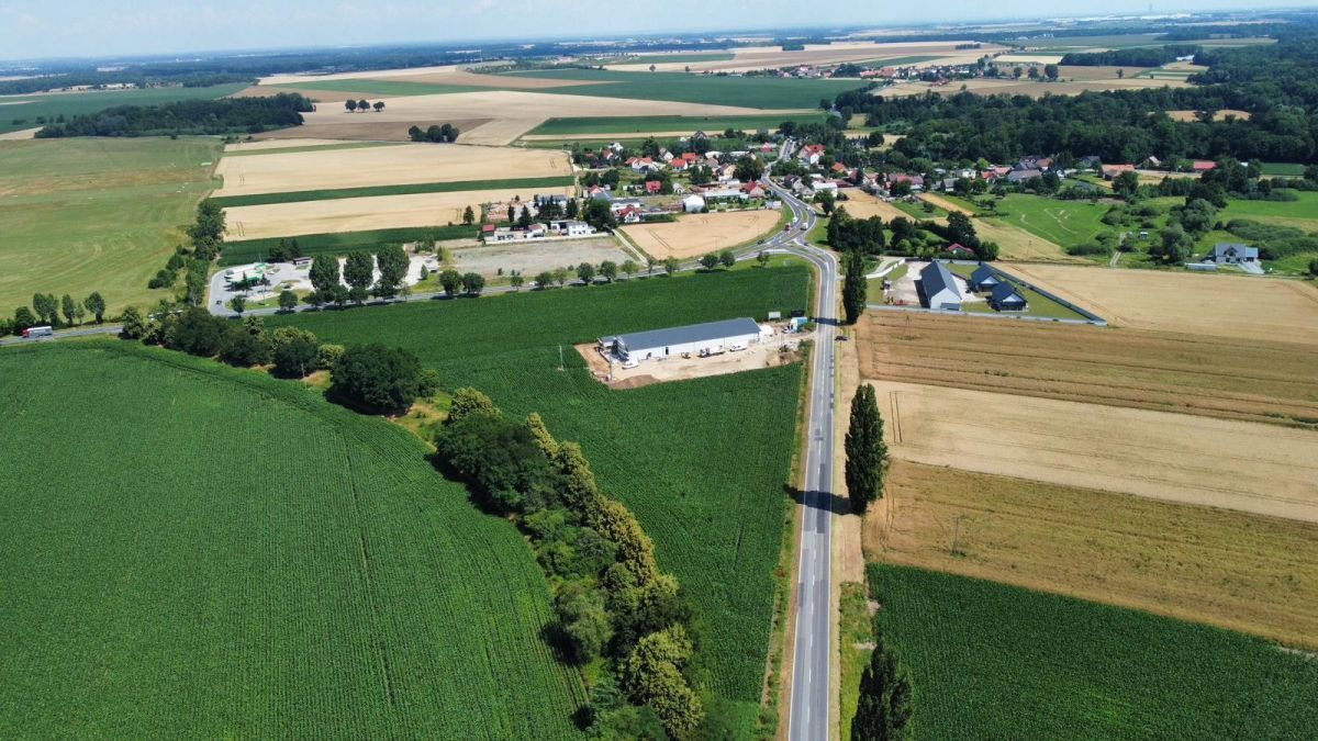 Działka inwestycyjna Mirosławice. Zdjęcie 3