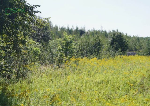 Działka inna Zabrze Makoszowy, ul. Lubuska. Zdjęcie 2