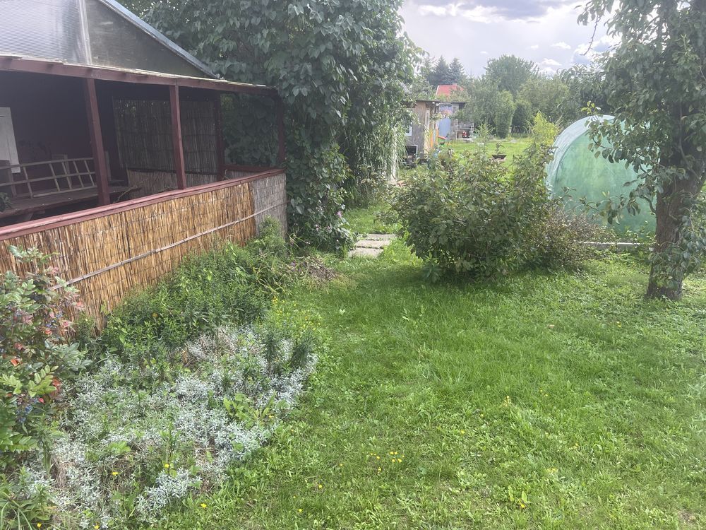 Działka rod Tczew. Zdjęcie 5