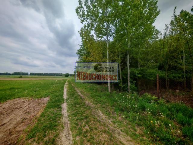 Działka rolno-budowlana Dłużew. Zdjęcie 10