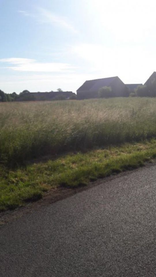 Działka budowlana Piotrowice. Zdjęcie 6