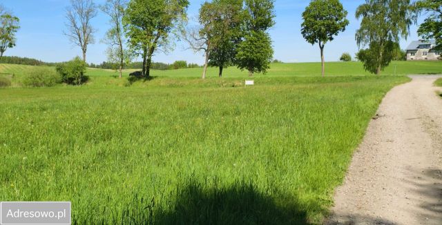 Działka budowlana Wielki Klincz. Zdjęcie 1