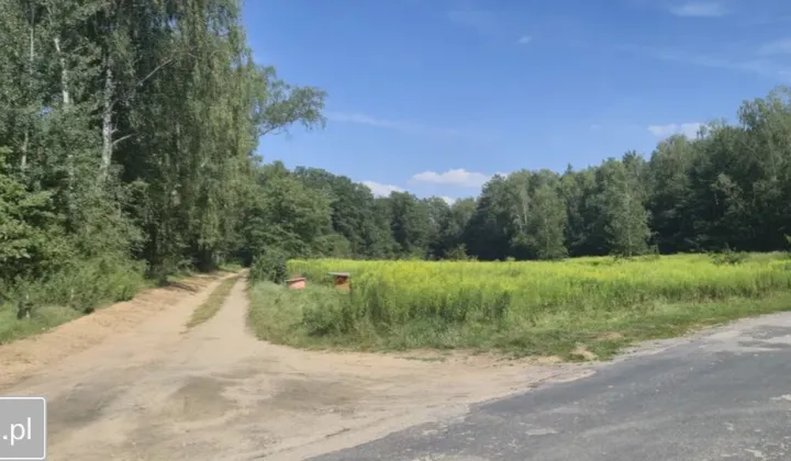 Działka budowlana Rydzynki, ul. Tęczowa
