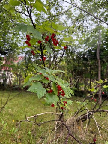 bliźniak, 4 pokoje Bartoszyce, ul. Moniuszki. Zdjęcie 13