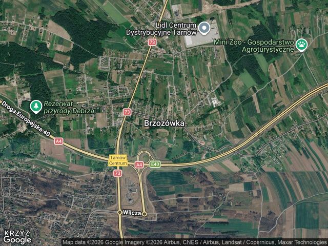Działka rolna Brzozówka, bez nazwy. Zdjęcie 1