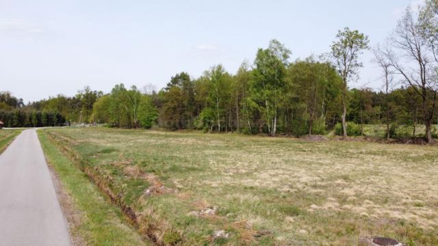 Działka budowlana Rudy-Rysie. Zdjęcie 7