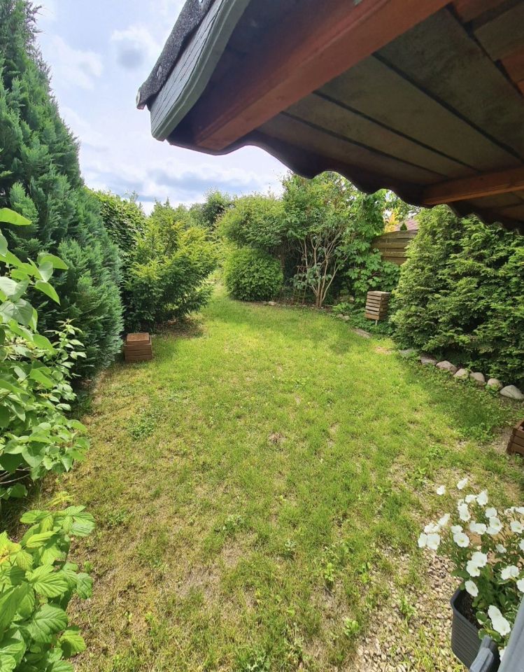 Działka rod Rypin. Zdjęcie 4