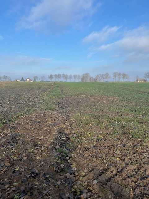 Działka rolno-budowlana Konopnica. Zdjęcie 5