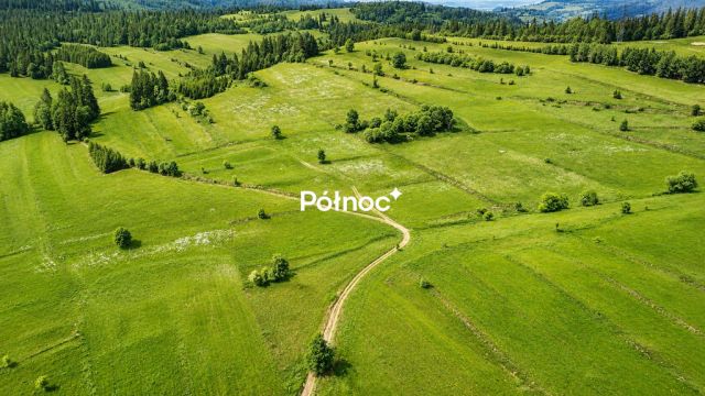 Działka Pieniążkowice. Zdjęcie 10