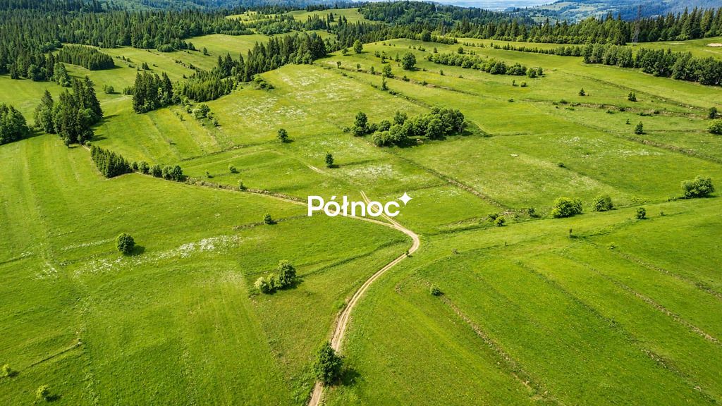 Działka Pieniążkowice. Zdjęcie 10