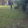 Działka budowlana Augustów, ul. Sosnowa. Zdjęcie 10