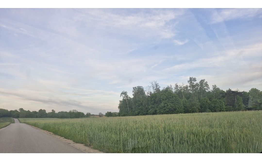 Działka rolna Długie. Zdjęcie 2