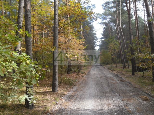Działka budowlana Józefów. Zdjęcie 6