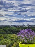 Mieszkanie 2-pokojowe Warszawa Mokotów, ul. Stefana Batorego. Zdjęcie 3