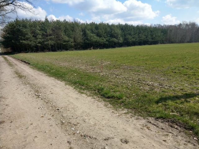 Działka budowlana Rudzienko. Zdjęcie 1