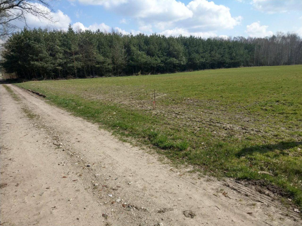 Działka budowlana Rudzienko. Zdjęcie 1
