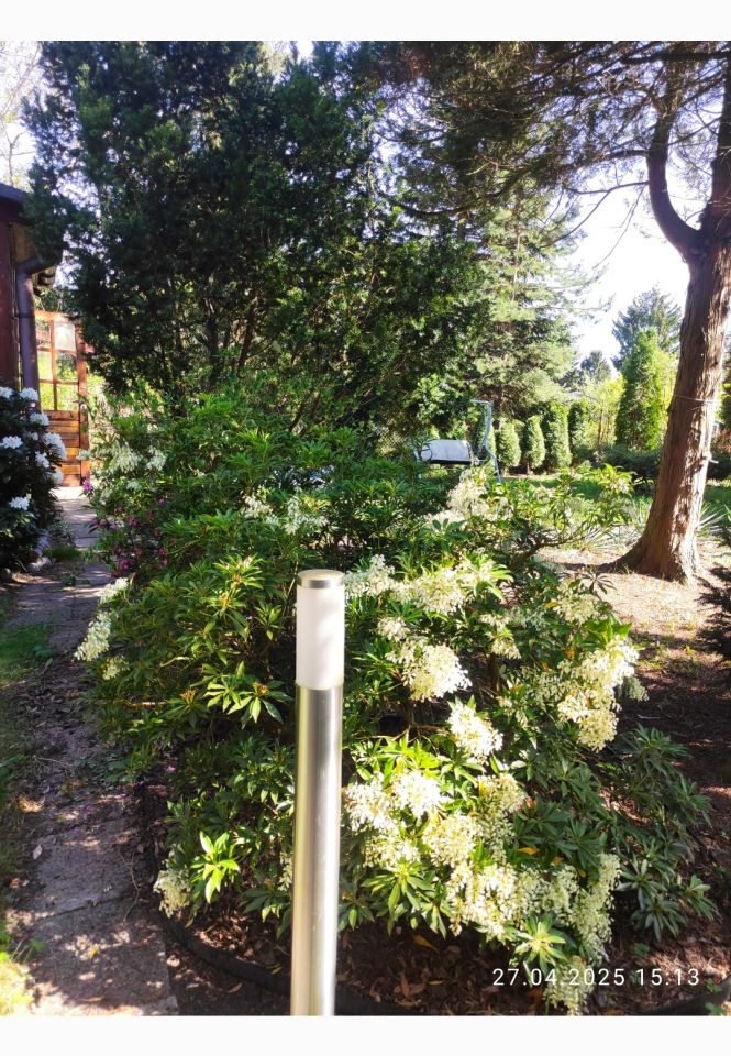 Działka rod Warszawa Białołęka, ul. Cieślewskich. Zdjęcie 3