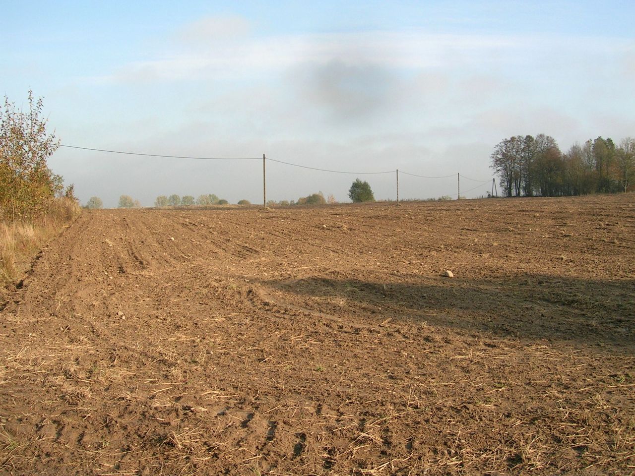 Działka rolna Strużyna. Zdjęcie 12