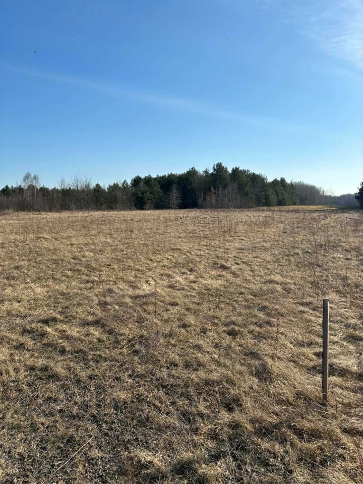 Działka budowlana Drgicz. Zdjęcie 4