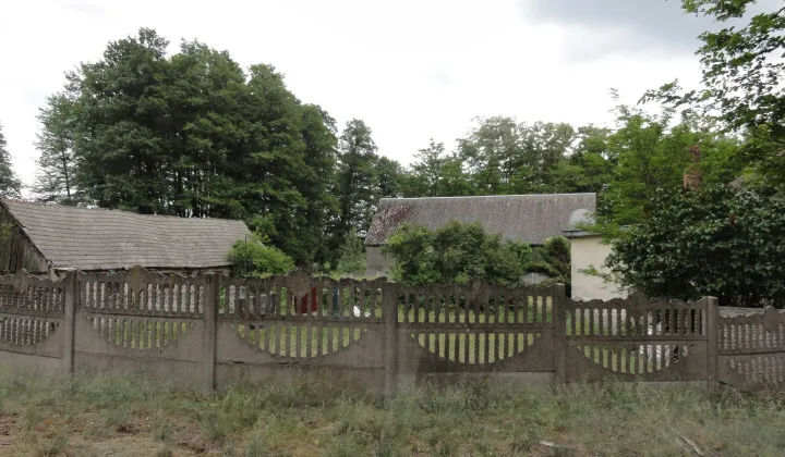 siedlisko Janów