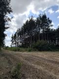 Działka rolno-budowlana Zborów. Zdjęcie 4