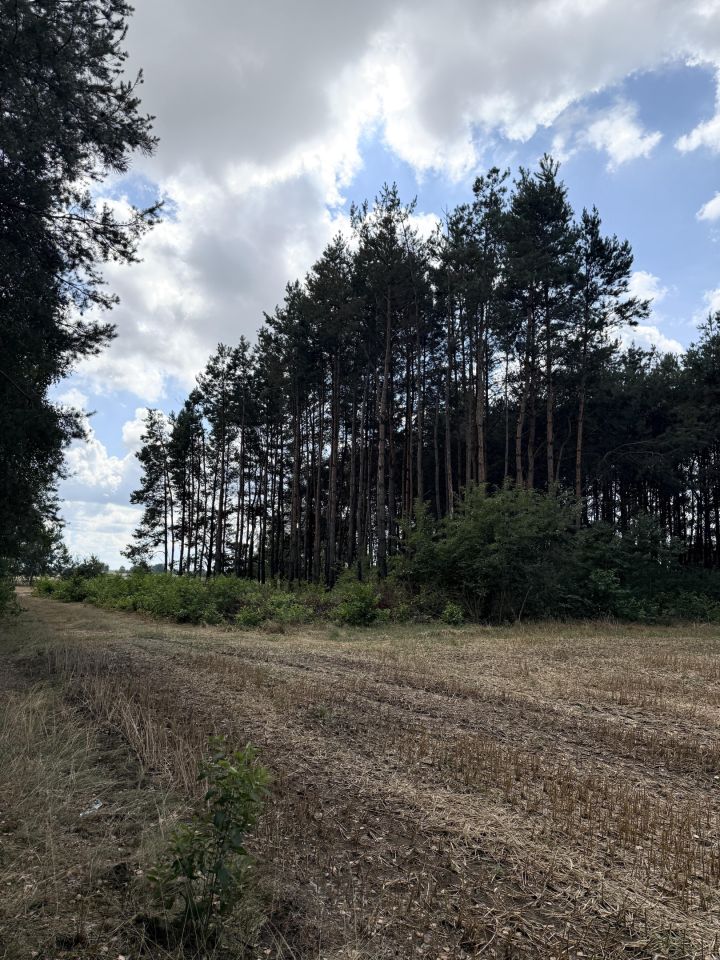 Działka rolno-budowlana Zborów. Zdjęcie 5