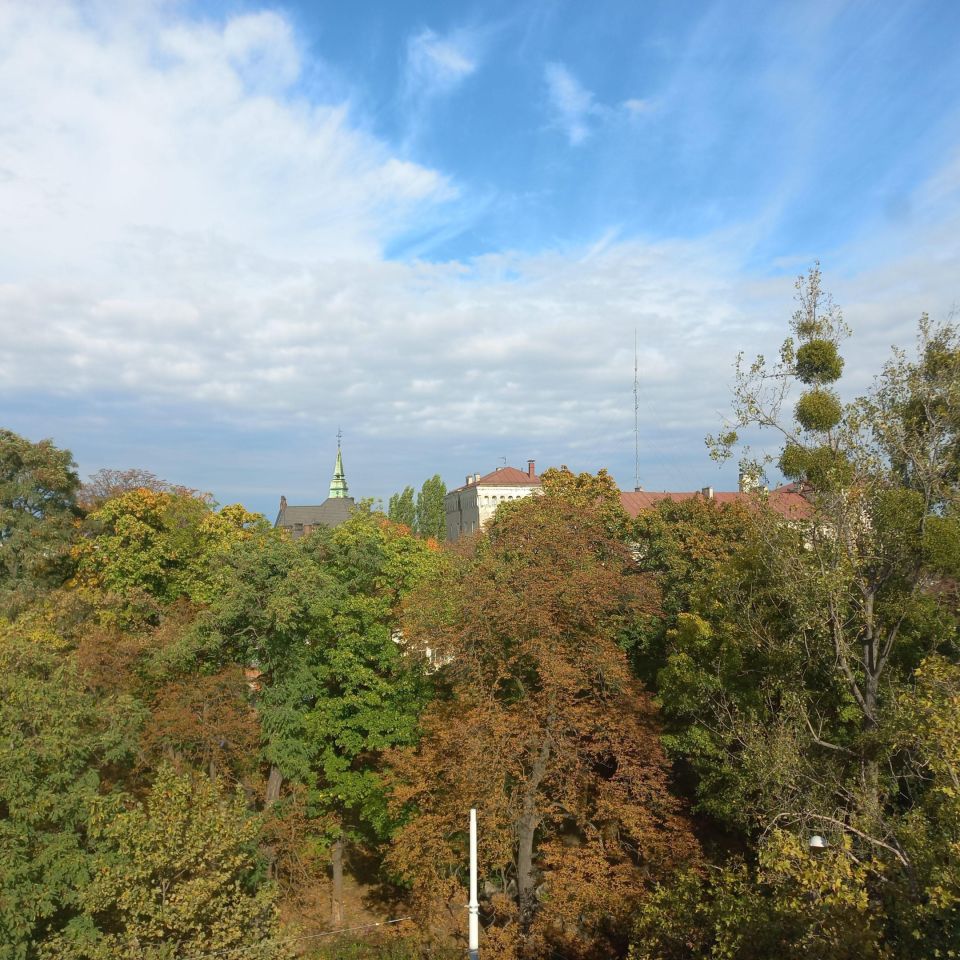 Mieszkanie 2-pokojowe Wrocław Śródmieście, ul. św. Wincentego. Zdjęcie 21