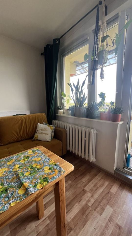 Mieszkanie 1-pokojowe Piekary Śląskie, ul. Marii Curie-Skłodowskiej