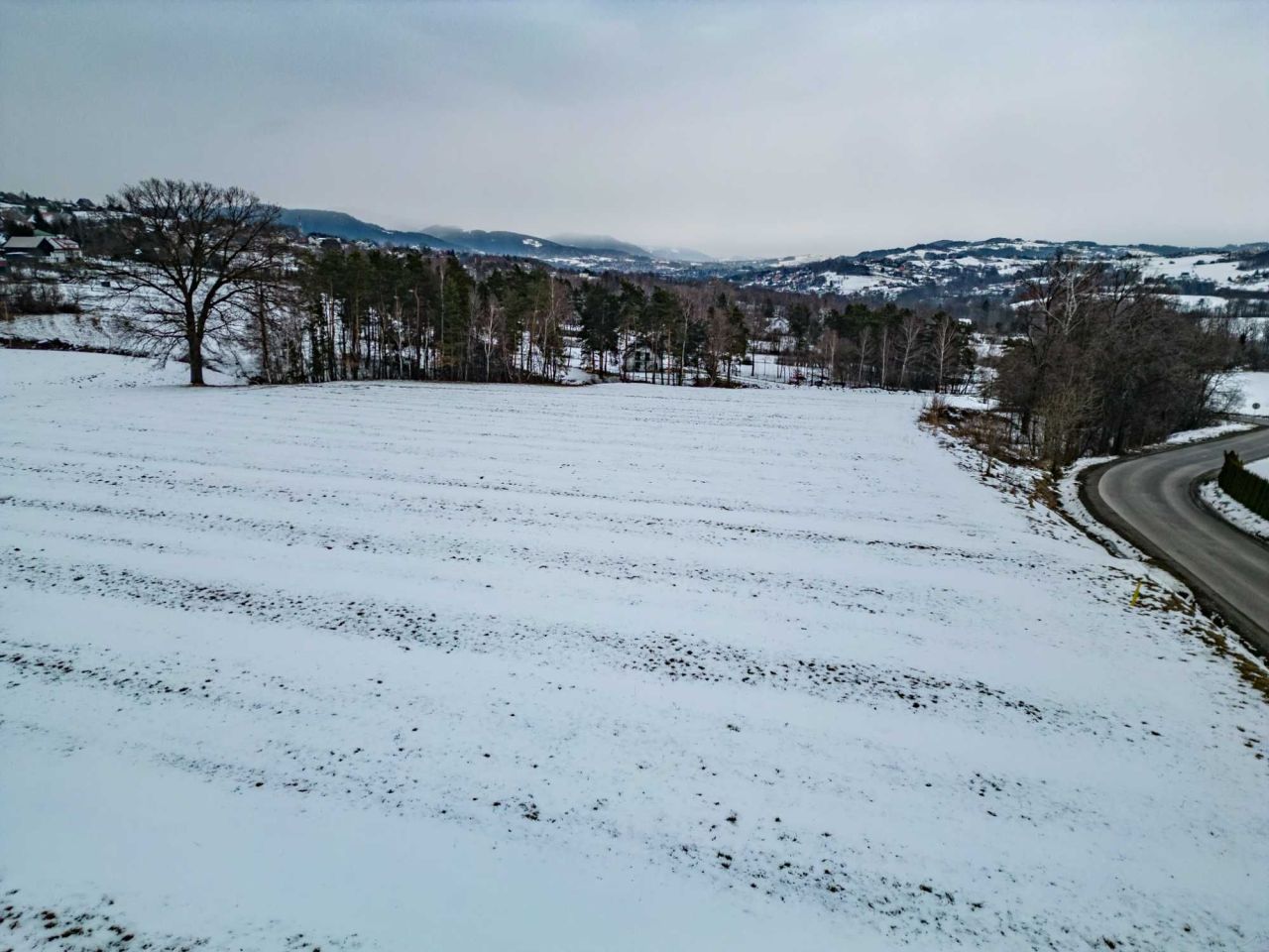 Działka budowlana Lipowe. Zdjęcie 6