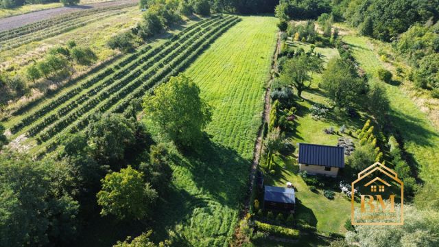 Działka siedliskowa Kazimierz Dolny, Góry. Zdjęcie 3