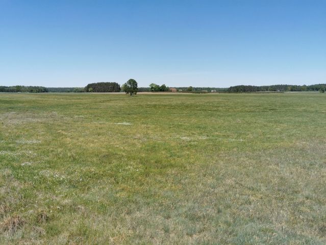 Działka rolna Święta. Zdjęcie 13