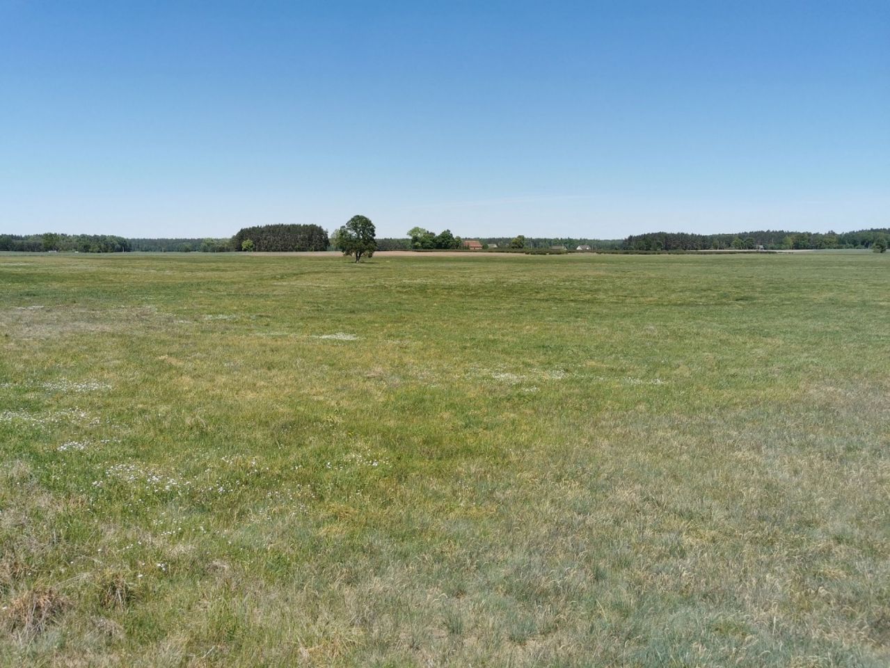 Działka rolna Święta. Zdjęcie 13