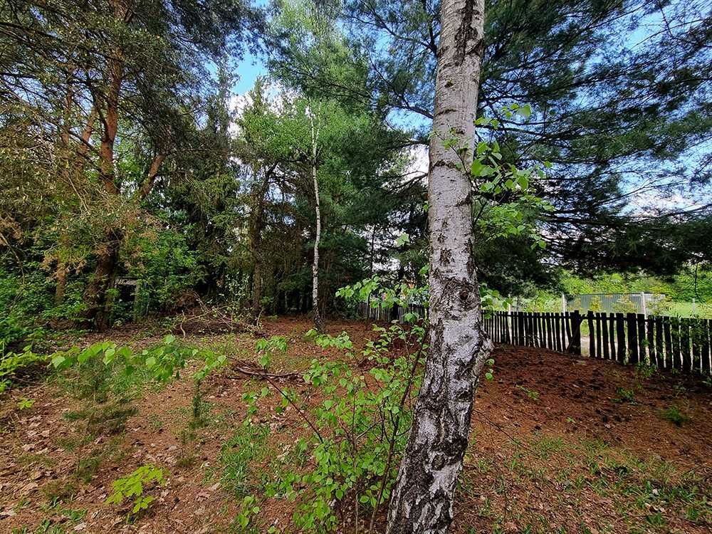 Działka Rogożek. Zdjęcie 7