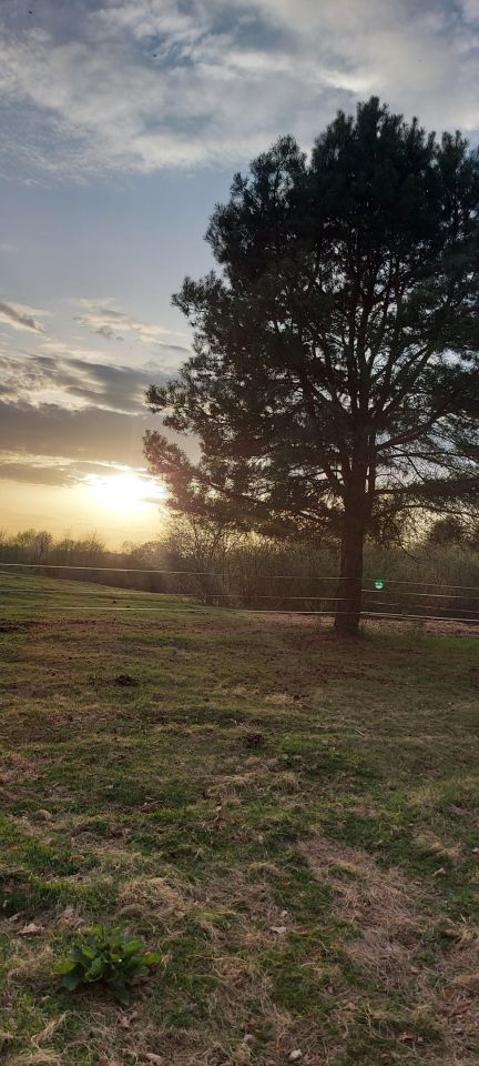 Działka siedliskowa Różnowo, Różnowo. Zdjęcie 2