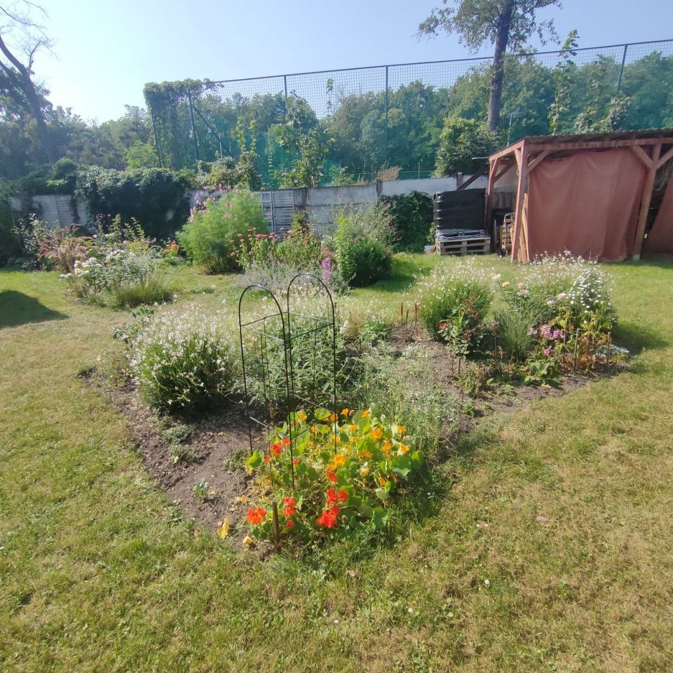 Działka rod Wrocław Krzyki, ul. Powstańców Śląskich. Zdjęcie 4